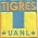 Tigres UANL