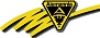 Alemannia Aachen